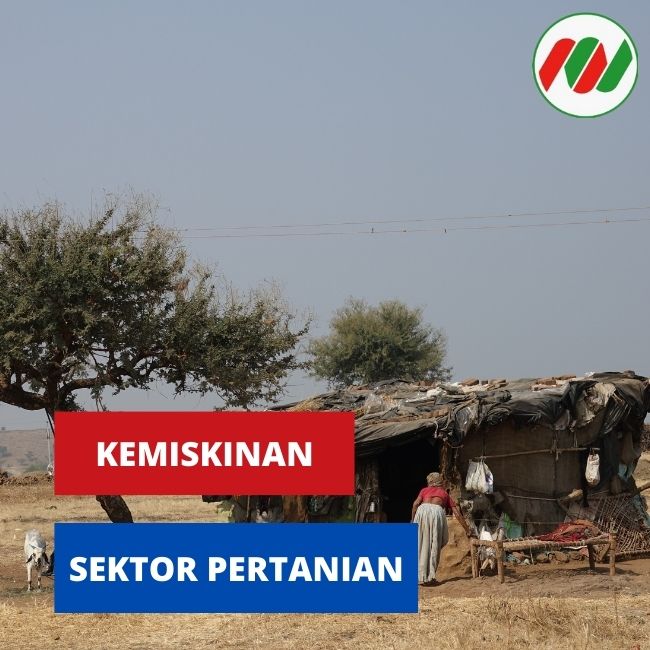 Sektor Pertanian Bisa Berkontribusi Mengurangi Kemiskinan